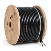 Câble de commande et d'alimentation blindé en cuivre YJV22 2 conducteurs 0,6/1 kV 2*2,5 mm² 2*4 mm² 2*6 mm² pour système de commande électrique 2*10/2*16