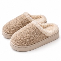 Chaussons d'intérieur en peluche Teddy pour femmes, mules à bout fermé, semelle souple, chaussures de détente d'hiver