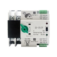 RUIPEIN Din Rail ATS 2P 63A 100A PC 6kA Kapasitas Pemutusan 6kA Satu Fasa Dual Power Automatic Transfer Switch PV Inverter CE IP40