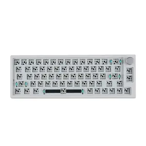 Kit clavier mécanique MK66 Pro Gasket 65% remplaçable à chaud 3 modes Lubed Stab RGB Light LED orientée au sud