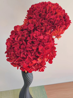 Bunga Hydrangea Bigleaf Awet Alami Asli Grosir Pabrik untuk Pernikahan, Hari Valentine, dan Acara Lainnya