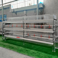 Fournisseur d'équipements d'élevage avicole de type A/H à 4 niveaux, cages pour poules pondeuses en batterie pour ferme
