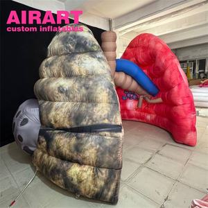 Pulmón inflable de gran oferta, modelo de pulmón inflable, pulmones insalubres inflables para exhibición - Product Image 6