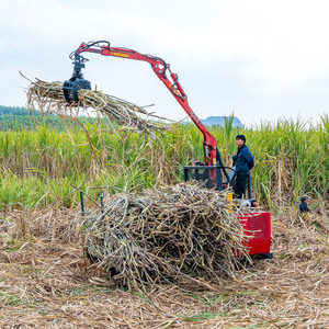 XUVOL OEM/ODM Accionamientos de motor hidráulico 360 Rotación <span class=keywords><strong>Trabajos</strong></span> de caña de azúcar Camión volquete de caña de azúcar con pinza - Product Image 3