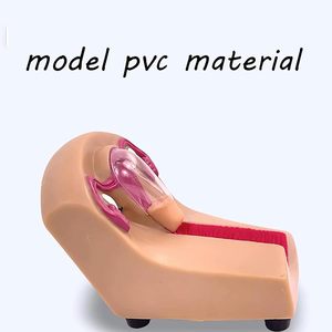 Giảng dạy mô hình thiết bị tránh thai trong tử cung nữ và mô hình đào tạo với các cơ quan có thể tháo rời cho công cụ hiển thị học tập - Product Image 5