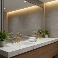 Robinet d'eau robuste en laiton massif avec cartouche céramique, finition chromée polie, design contemporain, montage sur plan, double poignée