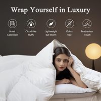 Couette en duvet d'oie/canard biologique en gros Couette d'hiver pour Queen/King à usage domestique inspirée de l'hôtel Hilton
