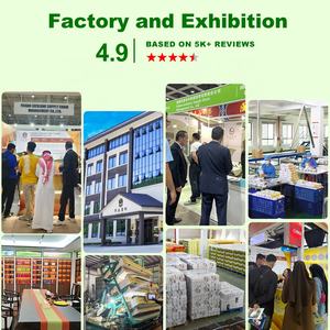 <span class=keywords><strong>ชา</strong></span>เขียวผงชาธรรมชาติ 100% ราคาต่อรองได้ 9500 ใบ<span class=keywords><strong>ชา</strong></span>แบบหลวม <span class=keywords><strong>ชา</strong></span><span class=keywords><strong>ไข่มุก</strong></span>สด บริษัทจำหน่ายชา - Product Image 4