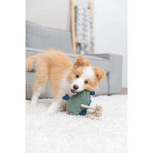 Juguete para mascotas con forma de pez con cuerda, 28 cm, juguete interactivo para perros - Product Image 5