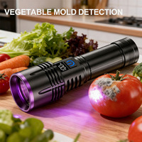 Détecteur ultraviolet alimenté par batterie 18650 26650 rechargeable par USB-C avec affichage de puissance 20W, filtre noir, lampe torche UV 365nm