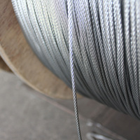 Câble en acier inoxydable revêtu 8 mm, brin triangulaire 10 mm 1x19 6x37 IWRC 316, 8 mm 1x19 2 mm noir, 10 mm prix AISI 3164