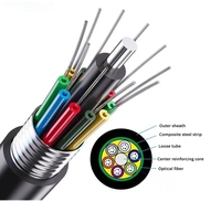 Câble à fibres optiques blindé HODNAO pour extérieur, 12 à 144 cœurs, GYTA/GYTS ADSS OPGW, pour réseau FTTH IP