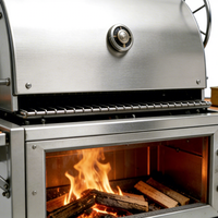 Parrilla Argentina Moderna de Leña y Carbón con Asador, Plegable, con Recubrimiento en Polvo, de Acero Inoxidable, con Carro y Llama