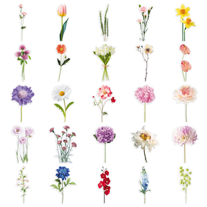 50 Uds. Pegatinas Creativas Personalizadas <span class=keywords><strong>de</strong></span> Flores Frescas <span class=keywords><strong>de</strong></span> Alta Estética <span class=keywords><strong>para</strong></span> Diario, Regalo, Cuaderno - Venta al por Mayor <span class=keywords><strong>de</strong></span> Fábrica - Product Image 3
