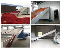 Automatische turnkey hetelucht droogmachine met stoom, elektrische en gasverwarming voor het drogen van fruit, groenten, uien, knoflook en peper.