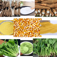 Shouchuang OEM Indonésie Konjac Farine Faisant La Machine Porang Poudre De Glucomannane Farine Processus Purifié ligne