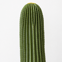 Cactus artificiel du désert, toucher réel, grand cactus colonnaire avec pot, décoration pour salon, bureau, balcon, maison