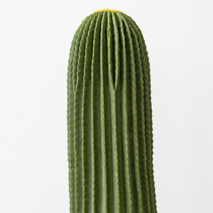 Planta Artificial de <span class=keywords><strong>Cactus</strong></span> del Desierto, <span class=keywords><strong>Cactus</strong></span> Columnar Alto de Tacto Realista con Maceta, Decoración <span class=keywords><strong>para</strong></span> Sala de Estar, Oficina, Balcón y Hogar - Product Image 6