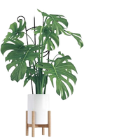 Tuteurs métalliques pour plantes grimpantes d'intérieur/extérieur – Idéaux pour Pothos et autres plantes rampantes