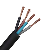 Kabel Pompa Submersible Listrik Tegangan Rendah Industri 450/750V Konduktor Tembaga Isolasi Karet 1-25mm Berbagai Ukuran