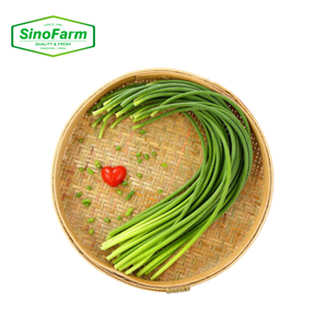 Nouvelle récolte de légumes chinois - Tiges d'<span class=keywords><strong>ail</strong></span> frais / Tiges de pousses d'<span class=keywords><strong>ail</strong></span> vertes - Product Image 1