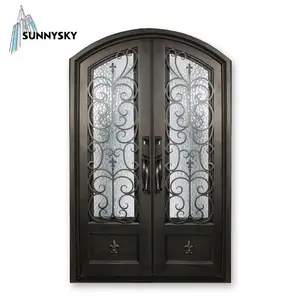 Sunnysky户外别墅钢质玻璃门窗户锻铁前玻璃门入口门设计