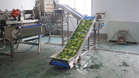 1-3 TPH Klaar-voor-gebruik groenteverwerkingslijn snijmachine dubbele vortexwasser ontwateringsmachine automatische fabriek op maat gemaakt