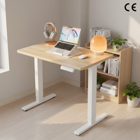Petit bureau électrique double réglable en hauteur avec 4 mémoires, table d'étude ergonomique assis-debout pour le bureau à domicile