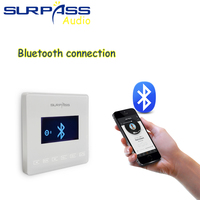 PW215B + CR310 Mini stéréo Blue Tooth dans les amplificateurs muraux Smart Home Cinema avec 8Ohm 10W salle de bain aluminium étanche à l'humidité
