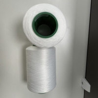 Fil de polyester vierge DTY 150D/48F SD RW 80TPM/Z teignable en cône