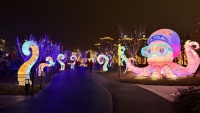 Lanternes LED étanches personnalisées en forme de pieuvre de dessin animé pour le festival de Thanksgiving, idéales pour les parcs aquatiques, les rues et les parcs à thème.