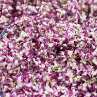 Meilleures ventes : Confettis de pétales de rose naturels séchés, 100 % naturels, préservés, multicolores, pour décorations de Noël, de mariages et de fêtes