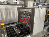 Gâteau au fromage décontracté petit déjeuner pain gâteau faisant la machine tasse gâteau faire Machine ligne de production de gâteau au jaune d'oeuf