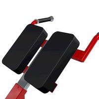 Chaise romaine réglable YL-2011 |   Banc d'hyperextension dorsal commercial certifié CE