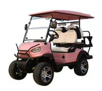Tong Cai support de téléphone magnétique chariot de golf électrique avec kit de conversion à distance chariot poussoir mini de gaz electrico mini carrito de golf