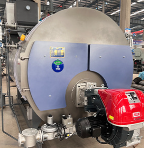 Chaudière à vapeur à gaz horizontale à <span class=keywords><strong>condensation</strong></span> à haut rendement énergétique et à économie d'énergie pour laboratoire et usine - Product Image 5