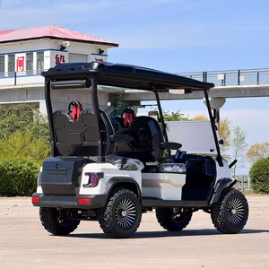 Carrito de Golf Ecológico <span class=keywords><strong>Fiat</strong></span> <span class=keywords><strong>500</strong></span> Dach Falcon, Vehículo Eléctrico de Alto Rendimiento para el Vecindario (NEV) para Ocio Personal - Product Image 3