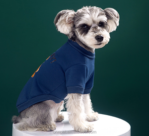Abbigliamento Autunno Inverno per Cani e Gatti, Felpa Sportiva 'Good Day Bear', Vestiti Carini per Animali Domestici, Accessori per Chihuahua e Bichon - Product Image 3