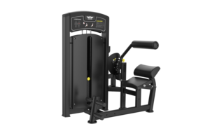 Machine de musculation pour tirage vertical et rame assise horizontale - Product Image 4