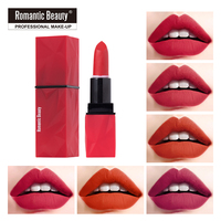 Ensemble de maquillage pour les lèvres, gloss liquide mat longue durée, imperméable, anti-transfert, anti-bavures, finition velours