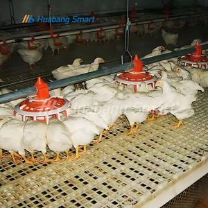 Vente chaude Nouveaux mangeoires en plastique PP pour animaux Garantie 1 an Mangeoires à poulet avec moteur pour l'élevage de volailles - Product Image 3