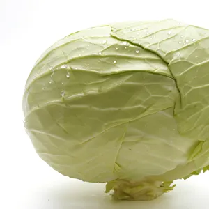 New Chinese 2023 Crop Ball Shape Cabbage Zhangjiakou Origin