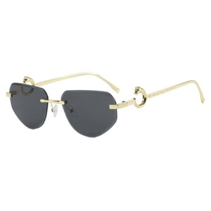 2025 européen américain asymétrique polygone lunettes <span class=keywords><strong>de</strong></span> <span class=keywords><strong>soleil</strong></span> sans cadre pour femmes UV400 lunettes <span class=keywords><strong>de</strong></span> <span class=keywords><strong>soleil</strong></span> tête <span class=keywords><strong>de</strong></span> léopard avec bord coupé - Product Image 4