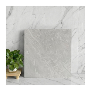 Dalle en porcelaine mate imitation pierre gris clair minimaliste 24*24 pouces - Product Image 1