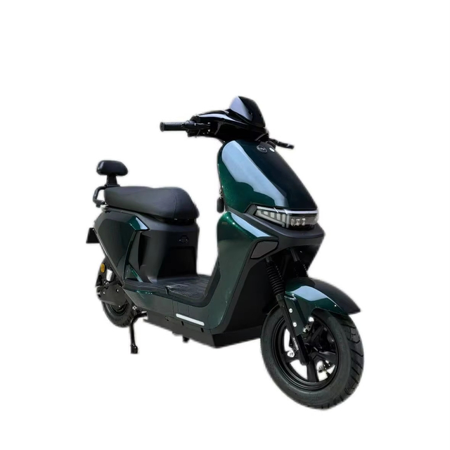 Eco - Green Electric Bike: Smart Ride, Long - Range, Fast Charge & More for Urban Commute