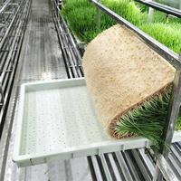 Système automatisé de serre d'intérieur en acier inoxydable pour la culture hydroponique de fourrage d'orge, ferme conteneurisée motorisée