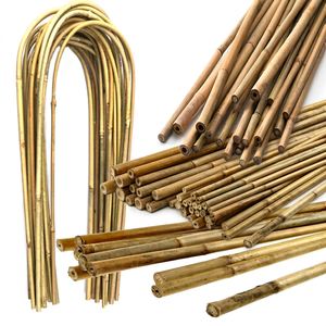 Wholesale Natural Bamboo Poles, Bamboo Stakes and Garden Canes for Plant Support, Farming and Landscaping from Vietnam - Product Image 1