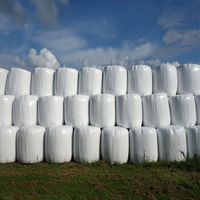 Film d'emballage pour balles de silage LONGXING LXBW-01 en LDPE, 750 mm, 25 microns, qualité machine, soufflage doux, pour légumes