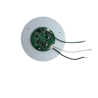 Lampes de piscine à LED intelligentes pour piscine creusée 10W AC12V 150mm Télécommande Lampes de piscine blanches ou RVB Source de lumière