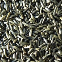 Graines de Niger Séchées Naturelles, Graines de Melon Noires, Épices Brutes en Vrac pour la Transformation Alimentaire en Gros – Fournisseur Indien
